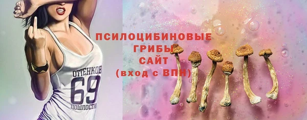 гидропоника Каменногорск