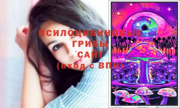 MDMA Каменка