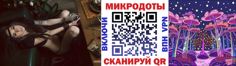 Псилоцибиновые грибы Psilocybe  Купить  Кувандык 